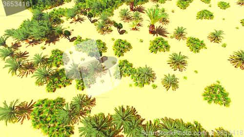 Image of African oasis on Sahara