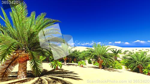 Image of African oasis on Sahara