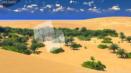 Image of African oasis on Sahara