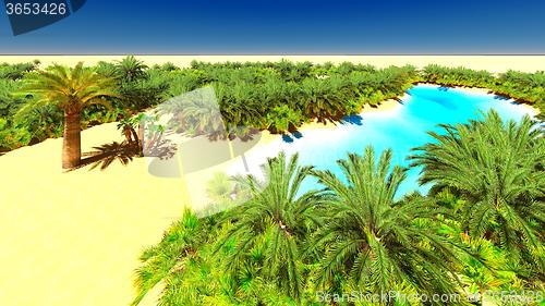 Image of African oasis on Sahara