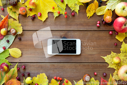 Image of smartphone with autumn leaves, fruits and berries