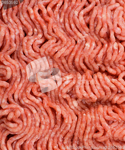 Image of Minced Meat Background