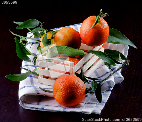 Image of Ripe Tangerines with Leafs