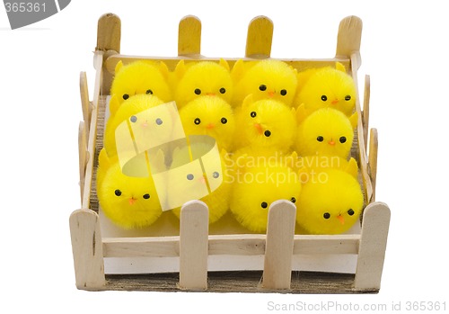 Image of Easter Chickens