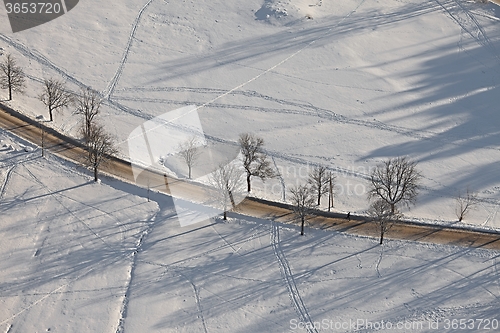 Image of Winter road with trees