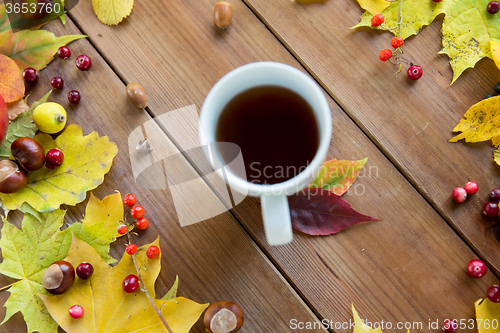 Image of close up of tea cup on table with autumn leaves