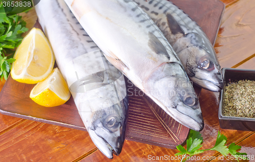 Image of raw fish