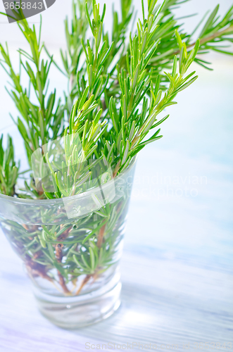 Image of rosemary