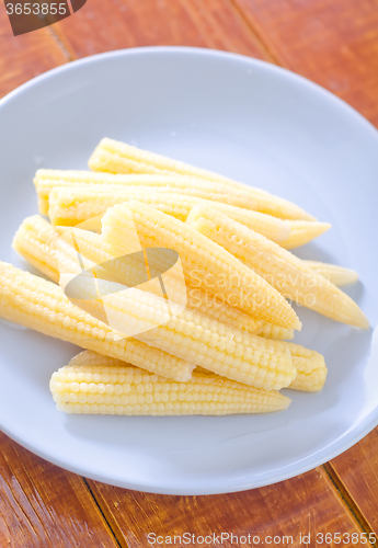 Image of baby corn