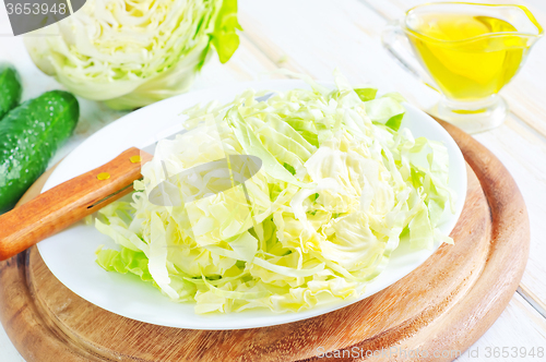 Image of cabbage