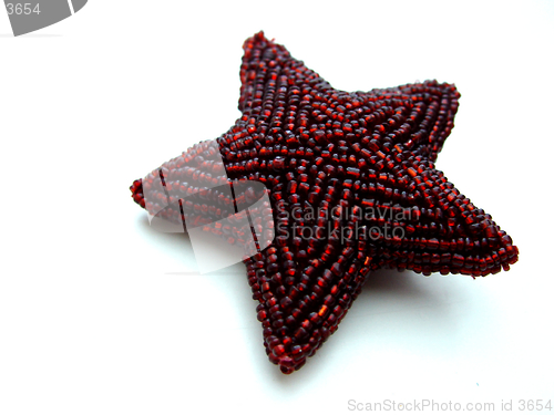 Image of pearl star