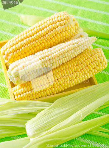 Image of raw corn