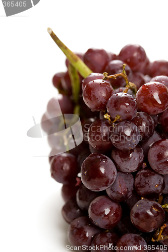Image of Grapes