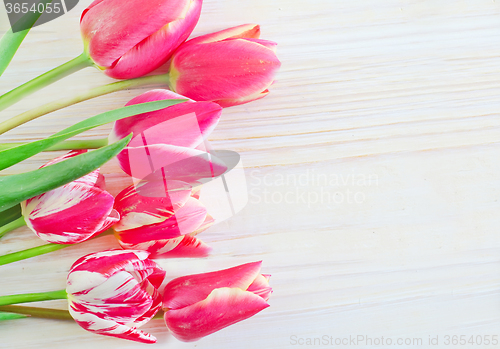 Image of Tulips