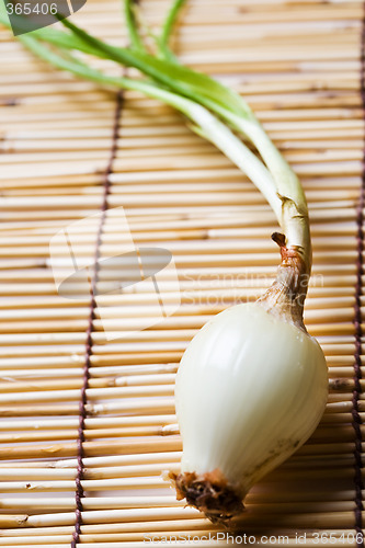 Image of Onion