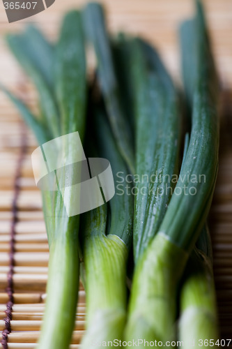 Image of Scallions