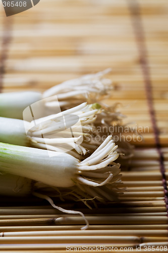 Image of Scallions