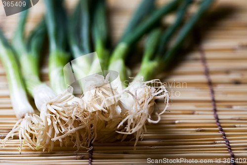 Image of Scallions