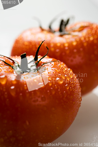 Image of Tomatoes