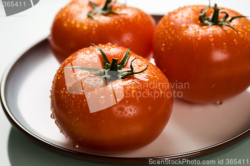 Image of Tomatoes