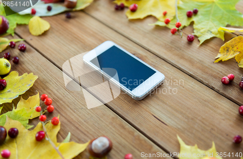 Image of smartphone with autumn leaves, fruits and berries