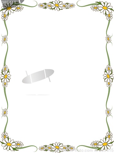 Image of Daisy Border