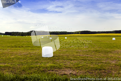 Image of harvesting grass.  in cellophane