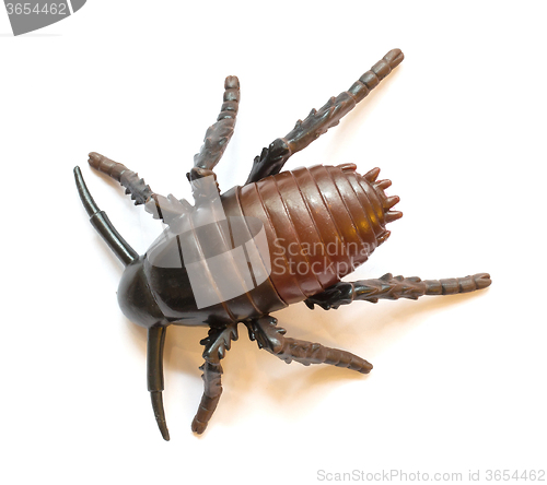 Image of Plastic cockroach isolated