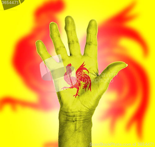 Image of Palm of a woman hand, painted with flag