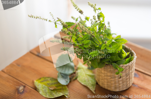 Image of close up of melissa in basket on wooden table