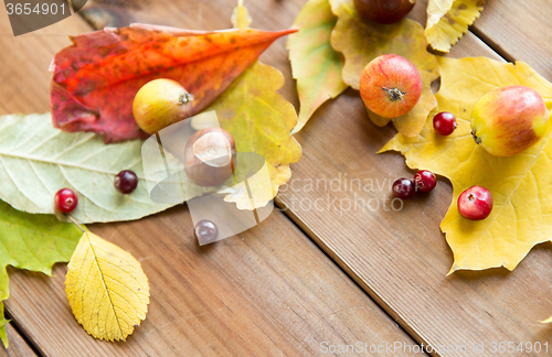 Image of close up of autumn leaves, fruits and berries