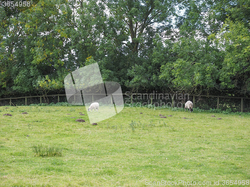 Image of View of Tanworth in Arden