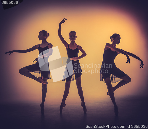 Image of The silhouettes of young ballet dancers posing on a gray backgro