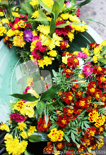 Image of Flowers
