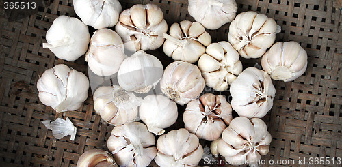 Image of Garlic