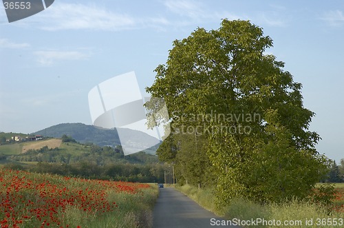 Image of Val Trebbia