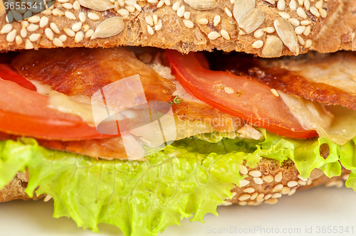 Image of Big sandwich closeup 