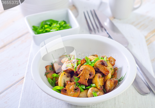 Image of mushrooms
