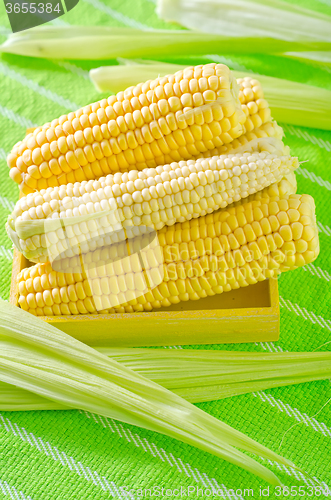 Image of raw corn