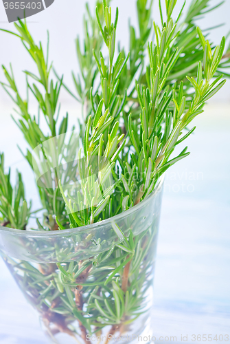 Image of rosemary