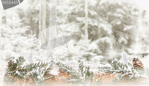 Image of Winter forest background