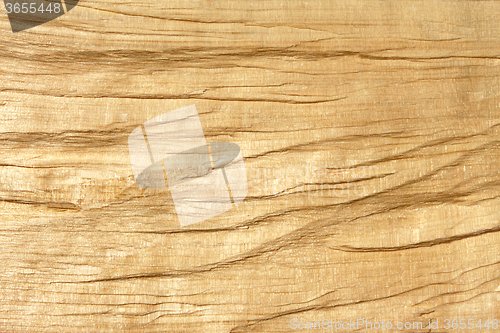 Image of Broken wooden log