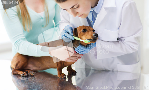 Image of woman with dog and doctor at vet clinic