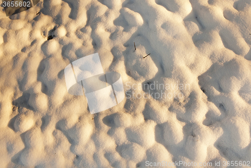 Image of Snow close up 