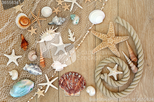 Image of Treasures of the Sea