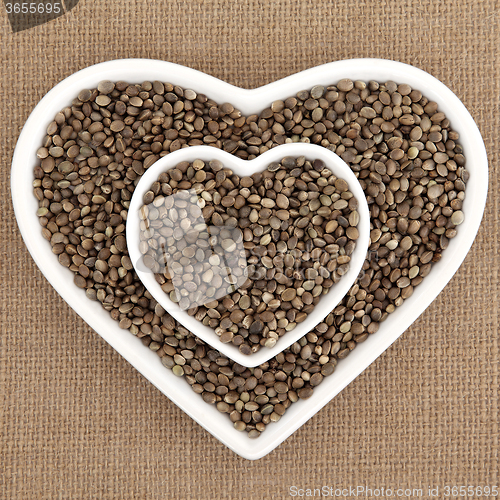 Image of Hemp Seed