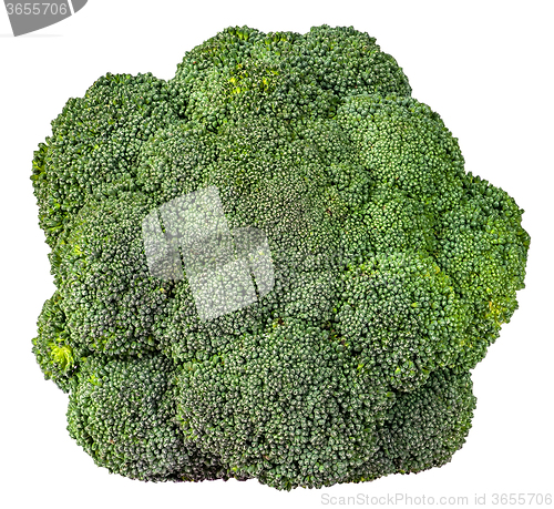 Image of Large inflorescences of fresh broccoli top view