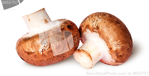 Image of Two fresh brown mushroom beside