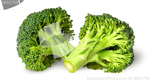 Image of Two broccoli florets beside