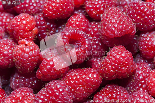 Image of red raspberry   close-up  